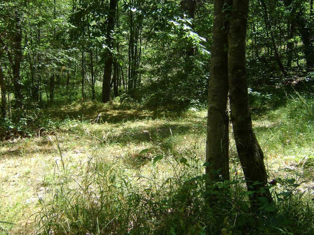 Camping Le P'Tit Bonheur Escaro 외부 사진